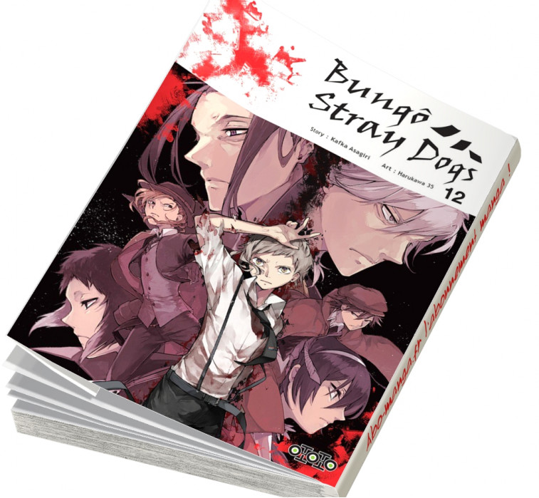  Abonnement Bungô Stray Dogs tome 12