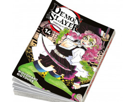 Couverture Demon Slayer Tome 14