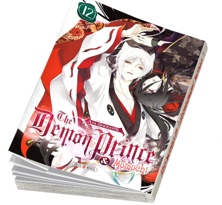  Abonnement The Demon Prince and Momochi tome 12