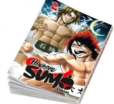 Hinomaru Sumo Hinomaru Sumo T02