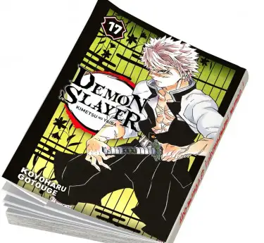 Demon Slayer Abonnement manga Demon Slayer T17