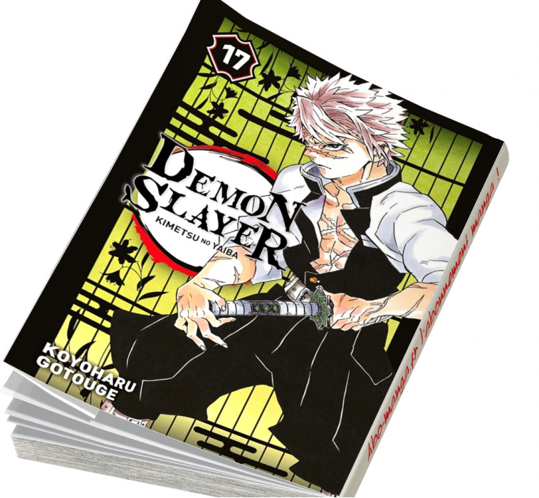 Abonnement manga Demon Slayer T17