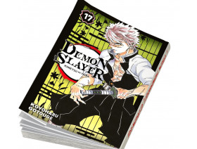 Couverture Demon Slayer Tome 17