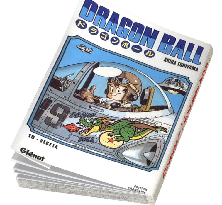  Abonnement Dragon Ball tome 19