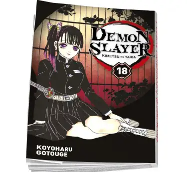 Demon Slayer Demon Slayer tome 18