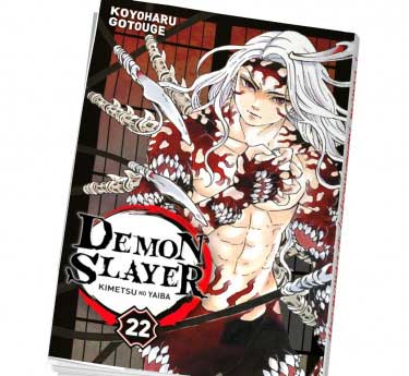 Demon Slayer Demon Slayer Tome 22