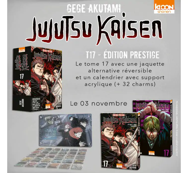 Jujutsu Kaisen 17 Edition Prestige collector