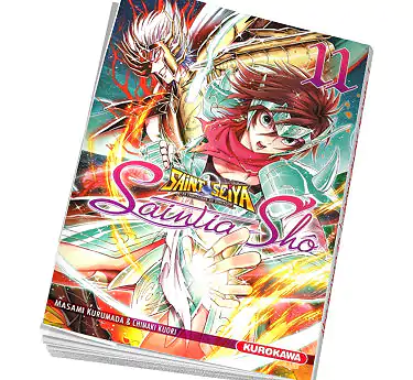 Saint seiya saintia sho Saint seiya saintia sho Tome 11