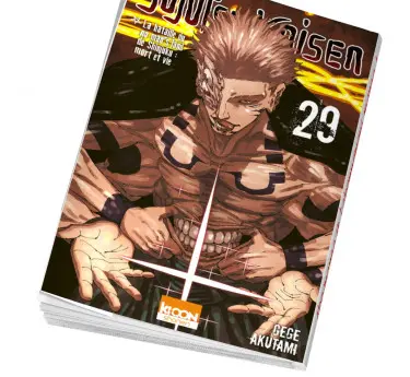 Jujutsu Kaisen manga Jujutsu Kaisen 29 en abonnement