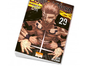 Couverture Jujutsu Kaisen Tome 29