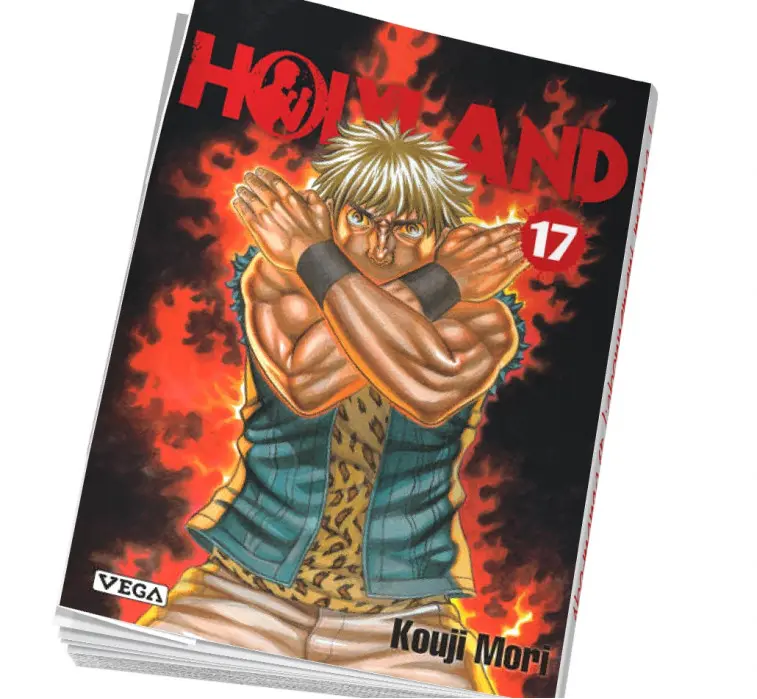 Manga furyo Holyland 17