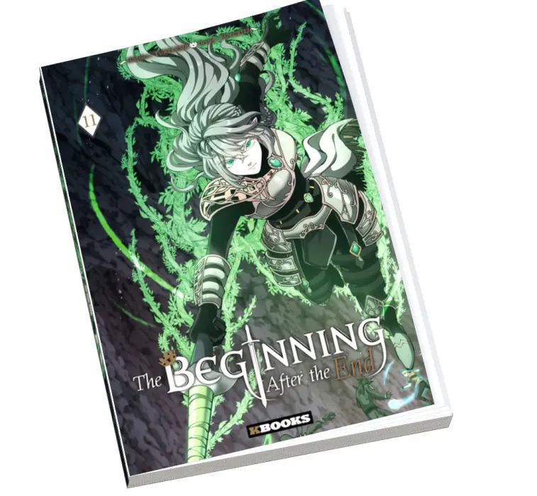 The beginning after the end 11
