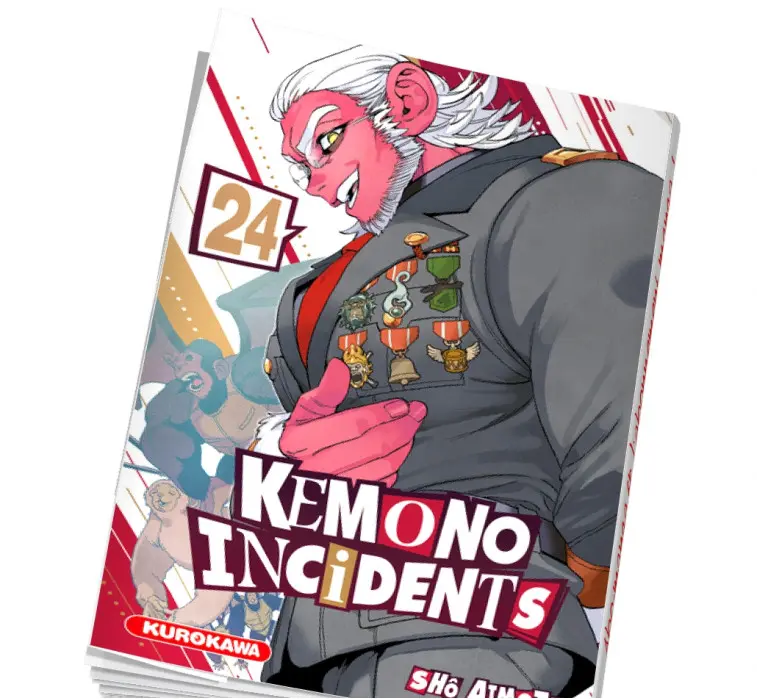 Kemono Incidents T24