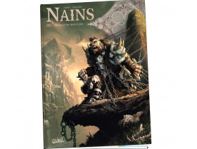 Couverture Le monde d'Aquilon Tome 46 - Terres d'Arran - Nains T15