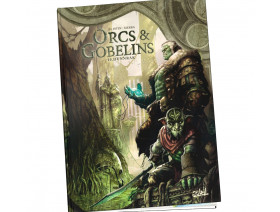 Couverture Le monde d'Aquilon Tome 60 - Terres d'Arran - Orcs et Gobelins T10