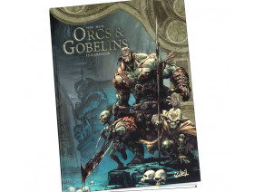 Couverture Le monde d'Aquilon Tome 72 - Terres d'Arran - Orcs et Gobelins T15