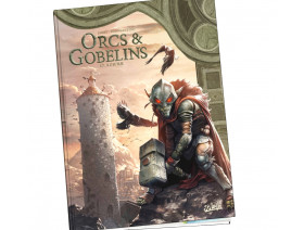 Couverture Le monde d'Aquilon Tome 78 - Terres d'Arran - Orcs et Gobelins T17