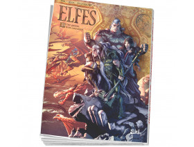 Couverture Le monde d'Aquilon Tome 83 - Terres d'Arran - Elfes T33