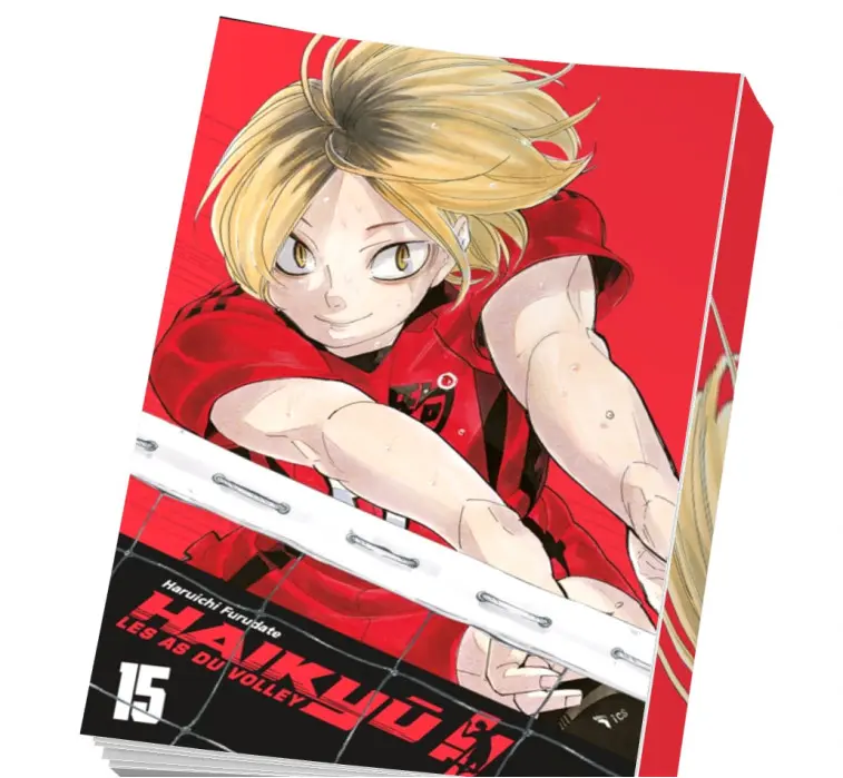 Haikyu Édition SMASH 15