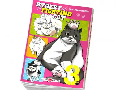 Street Fighting Cat Street Fighting Cat T03