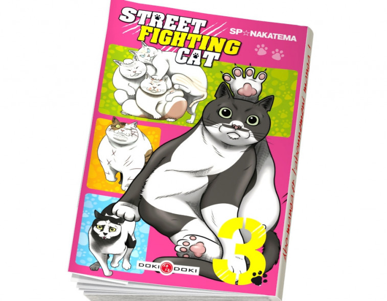  Abonnement Street Fighting Cat tome 3