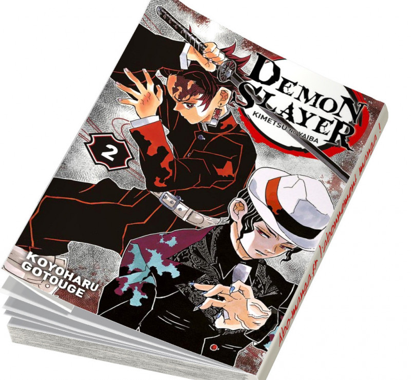 Tous Les Tomes De Demon Slayer