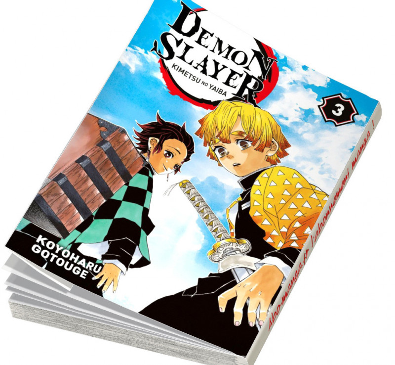 Tous Les Tomes De Demon Slayer