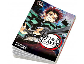 Couverture Demon Slayer Tome 10