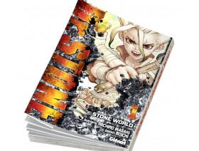 Couverture Dr. STONE Tome 01