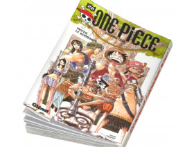Couverture One Piece Tome 28
