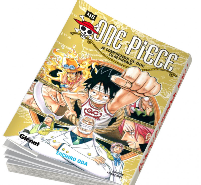 One Piece T45 Disponible En Abonnement Manga