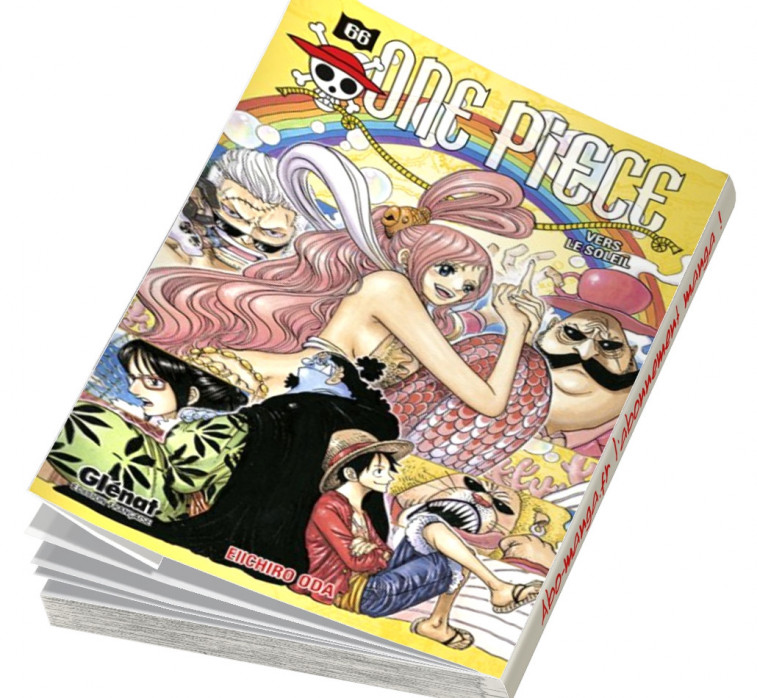  Abonnement One Piece tome 66