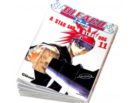 Couverture Bleach Tome 11