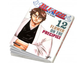 Couverture Bleach Tome 12