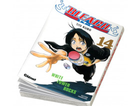 Couverture Bleach Tome 14