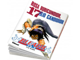 Couverture Bleach Tome 17
