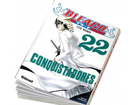 Couverture Bleach Tome 22