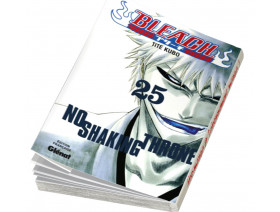 Couverture Bleach Tome 25