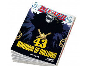 Couverture Bleach Tome 43