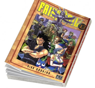 Fairy Tail T13