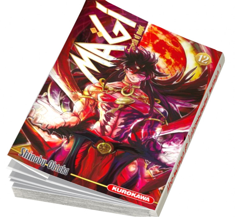  Abonnement Magi - The Labyrinth of Magic tome 12