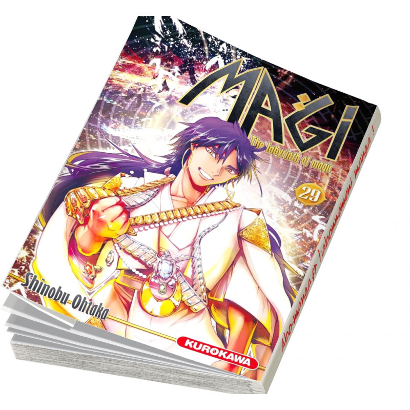 Magi Labyrinth Of Magic Scan 329 Vf