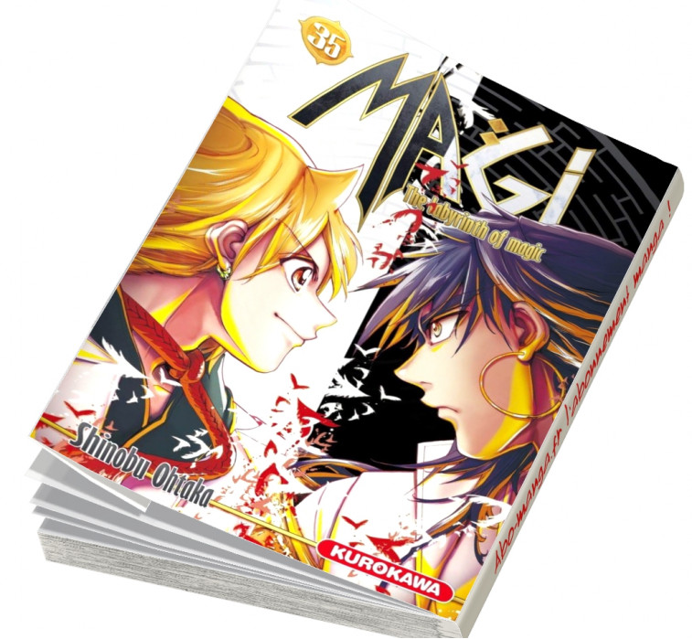  Abonnement Magi - The Labyrinth of Magic tome 35