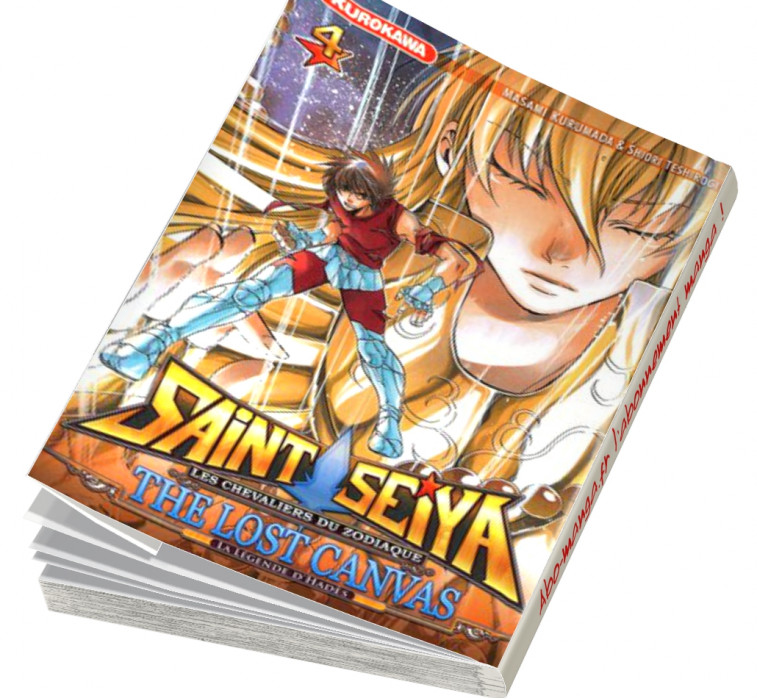  Abonnement Saint Seiya - The Lost Canvas - La Légende d'Hadès tome 4
