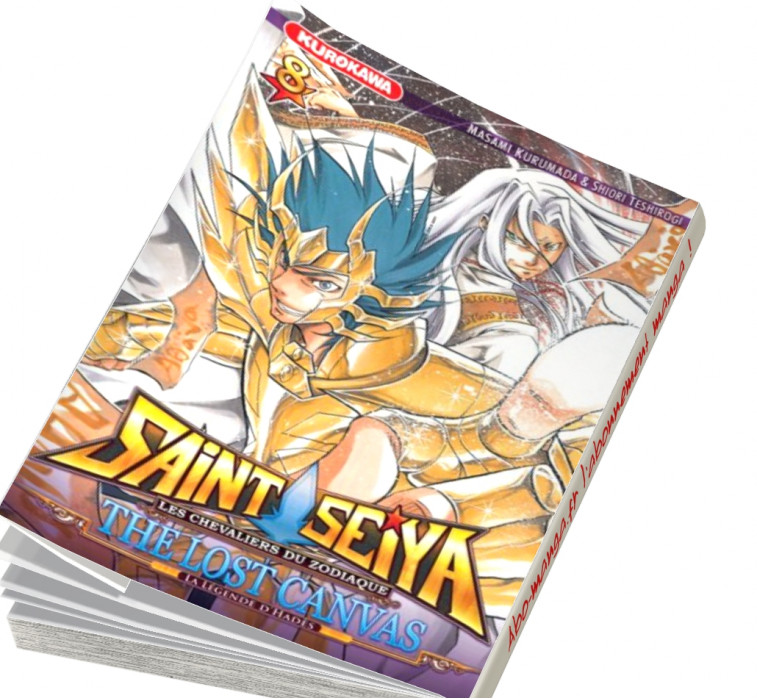  Abonnement Saint Seiya - The Lost Canvas - La Légende d'Hadès tome 8