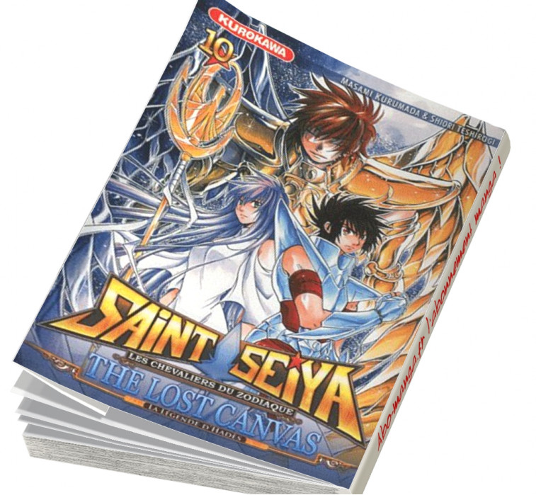  Abonnement Saint Seiya - The Lost Canvas - La Légende d'Hadès tome 10