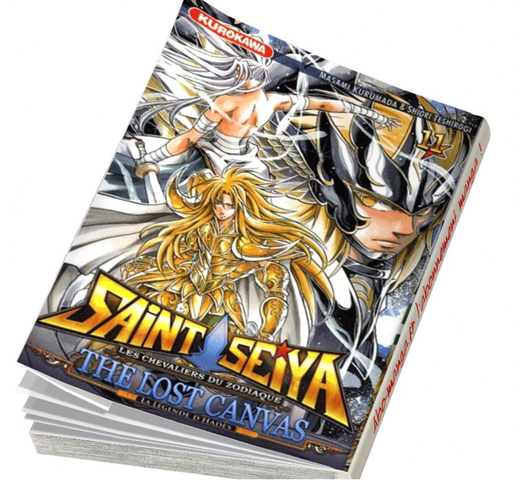  Abonnement Saint Seiya - The Lost Canvas - La Légende d'Hadès tome 11