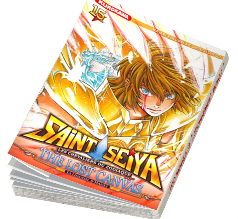  Abonnement Saint Seiya - The Lost Canvas - La Légende d'Hadès tome 15