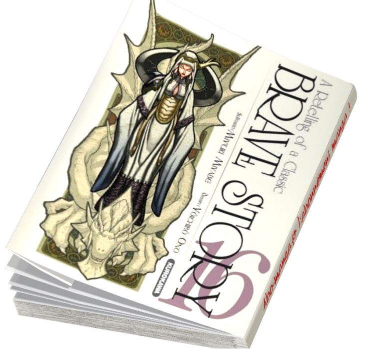 Abonnement Brave Story tome 16 Abonnement Brave Story tome 16