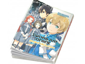 Sword Art Online - Project Alicization